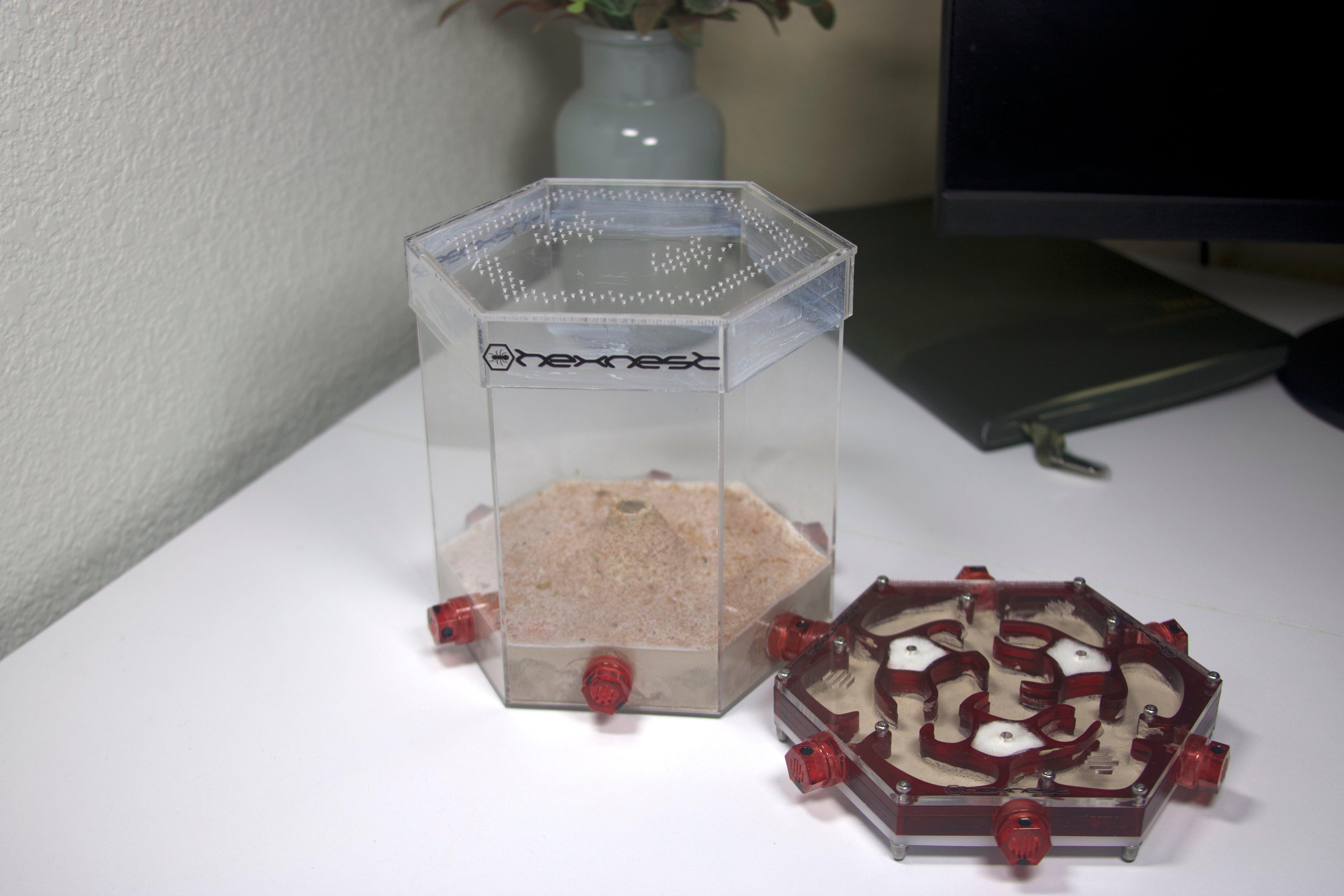 HexNest Formicarium Combos